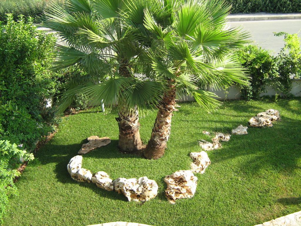 Bed & Breakfast Le Mediterranee