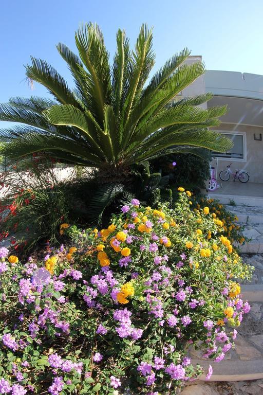 Bed & Breakfast Le Mediterranee *